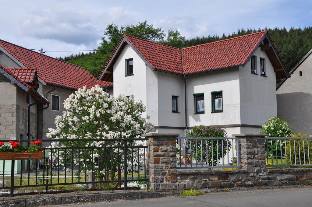 Fliederhof Ferienwohnungen Herresbach Szoba fotó